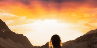 The Power of Willingness: The Quiet Skill That Builds Unstoppable Women in Business The Power of Willingness: The Quiet Skill That Builds Unstoppable Women in Business