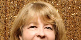 From County Fair Dare to 30-Year Art Empire: Cathy Nolan’s Creative Journey